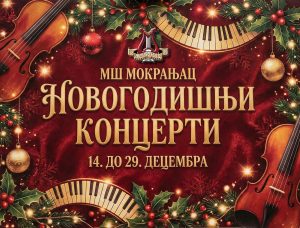 Read more about the article НОВОГОДИШЊИ КОНЦЕРТИ